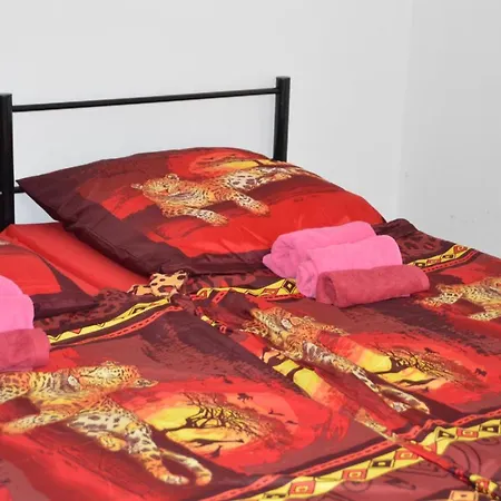 Apartment Ferienwohnung Karcherhof Mainz
